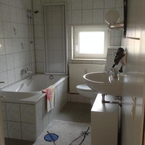Apartment Am Schwanenteich Mühlhausen